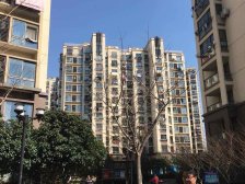 东岸新里1室南朝向399.00万元/套出售