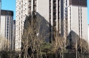 中冶德贤公馆实景图