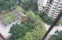 雅居乐锦城花冠集实景图