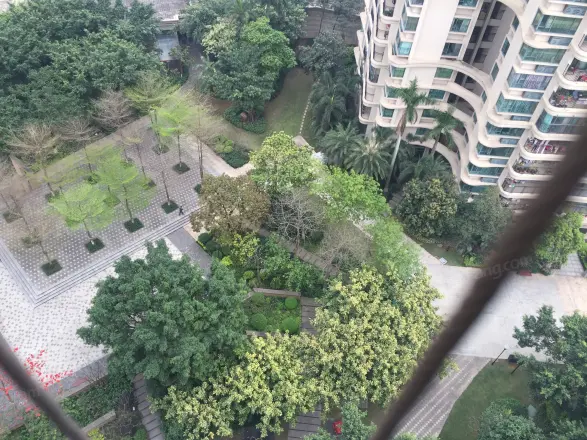雅居乐锦城花冠集实景图