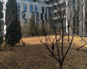 北京经开壹中心南北通透三居室采光好