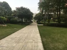 此房满五唯一 南向一线江景 俯视世纪莲 直观东平河