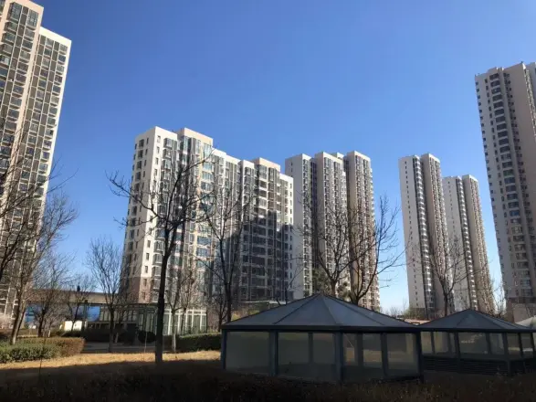 滨海智谛山实景图