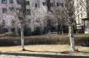 大地十二城碧湖园实景图