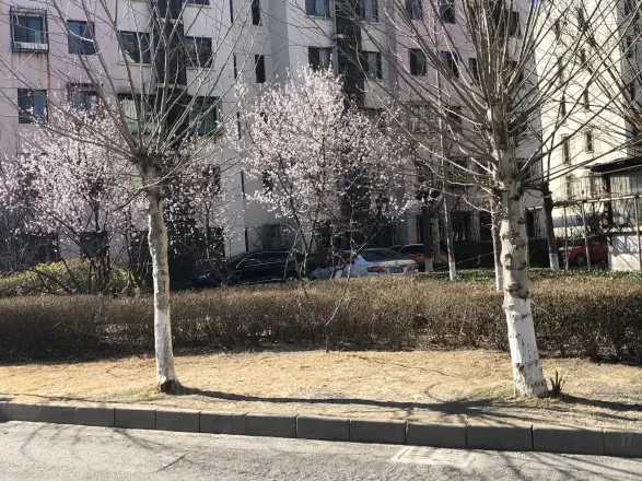 大地十二城碧湖园实景图