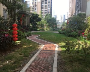 千灯湖笋盘,南向,高楼层,景观无遮挡,