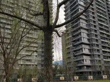 铂悦犀湖一线全湖景大平层中高楼层视野棒诚意卖