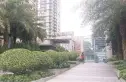 雅居乐锦城花冠集实景图
