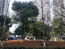 南门·南环汇邻广场·1室·1厅