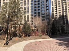 楼层好,前后无遮挡,南北通透,价格能谈,看房方便