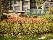 中创区 楼层好 诚卖 随时看房 价格好谈