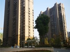 二次精装30万投入经典小两房全天采光中上楼层