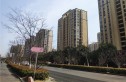 招商依山郡实景图