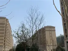 苏州经典两房,77平低总价,全新毛坯,随时可看