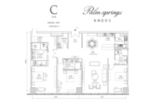 棕榈泉壹号C户型建面309㎡