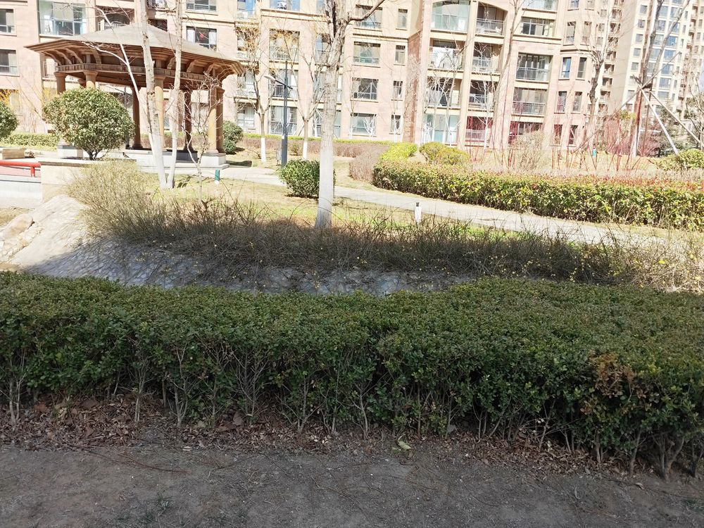小区相关图