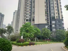 万科魅力之城,万科物业,精装双背包