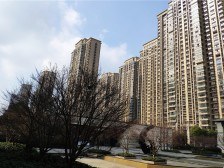 绿地中央广场四期 1室1厅 东南