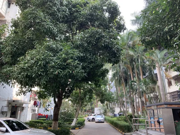 【珠海金溪花园二期小区,二手房,租房】- 珠海房天下