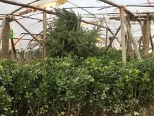 :皋兰县什川镇林隐天下有一套80.41平的小高层楼房