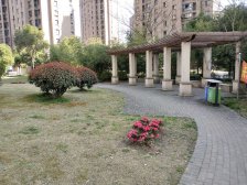 无抵押 电梯房 刚需上车 新上房源