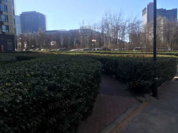 天龙华鹤实景图