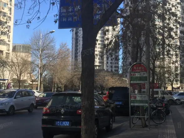 天龙华鹤实景图