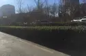 天龙华鹤实景图