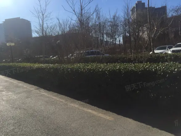 天龙华鹤实景图