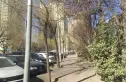 天龙华鹤实景图