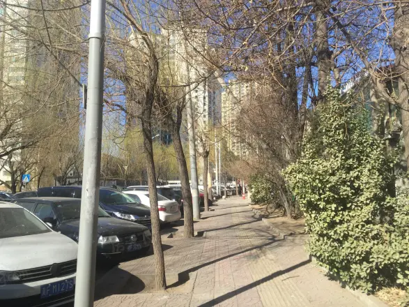 天龙华鹤实景图