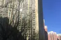 天龙华鹤实景图