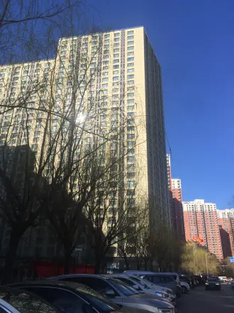 天龙华鹤实景图