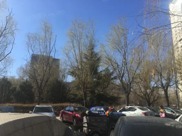 天龙华鹤实景图
