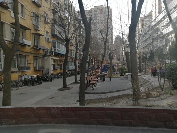金蝉北里21号院实景图