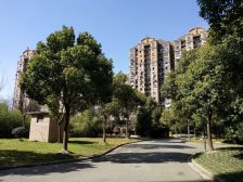 双南户型,河景视野好,采光明亮