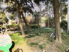 一楼带大院子 采光通风很好 满五且v一