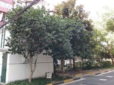 洛东苑2室1厅南北