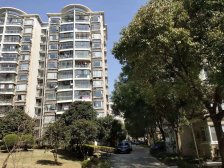 梦中情房 中楼层 横厅设计 采光好 业主诚意