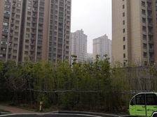 北湖区城投南风花园三室,毛坯房南北通透,采光良好