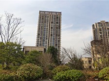 南区新上清水毛坯大四房 中高楼层视野好