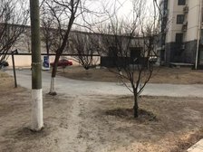 观筑庭园大三居满五年唯一普通住宅没有遮挡