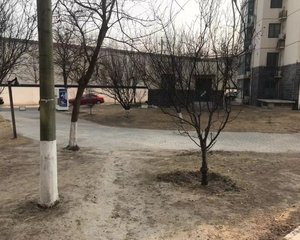 观筑庭园大三居满五年唯一普通住宅没有遮挡