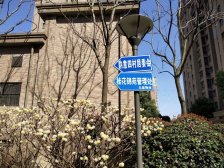 业主变现 诚意出售 价格可聊 楼层好 视野采光好