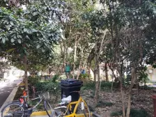 新爆款 大三房 南北通透 价格绝了 采光好 安静不吵