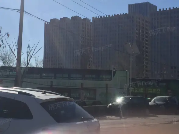 天龙华鹤实景图