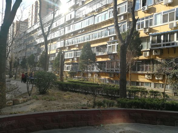 金蝉北里21号院实景图