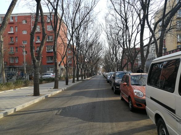 金蝉北里21号院实景图