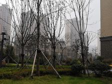 南风花园 3室2厅 南