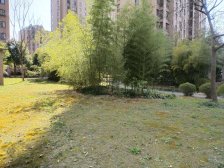 南北通透格局,大3房,业主诚心